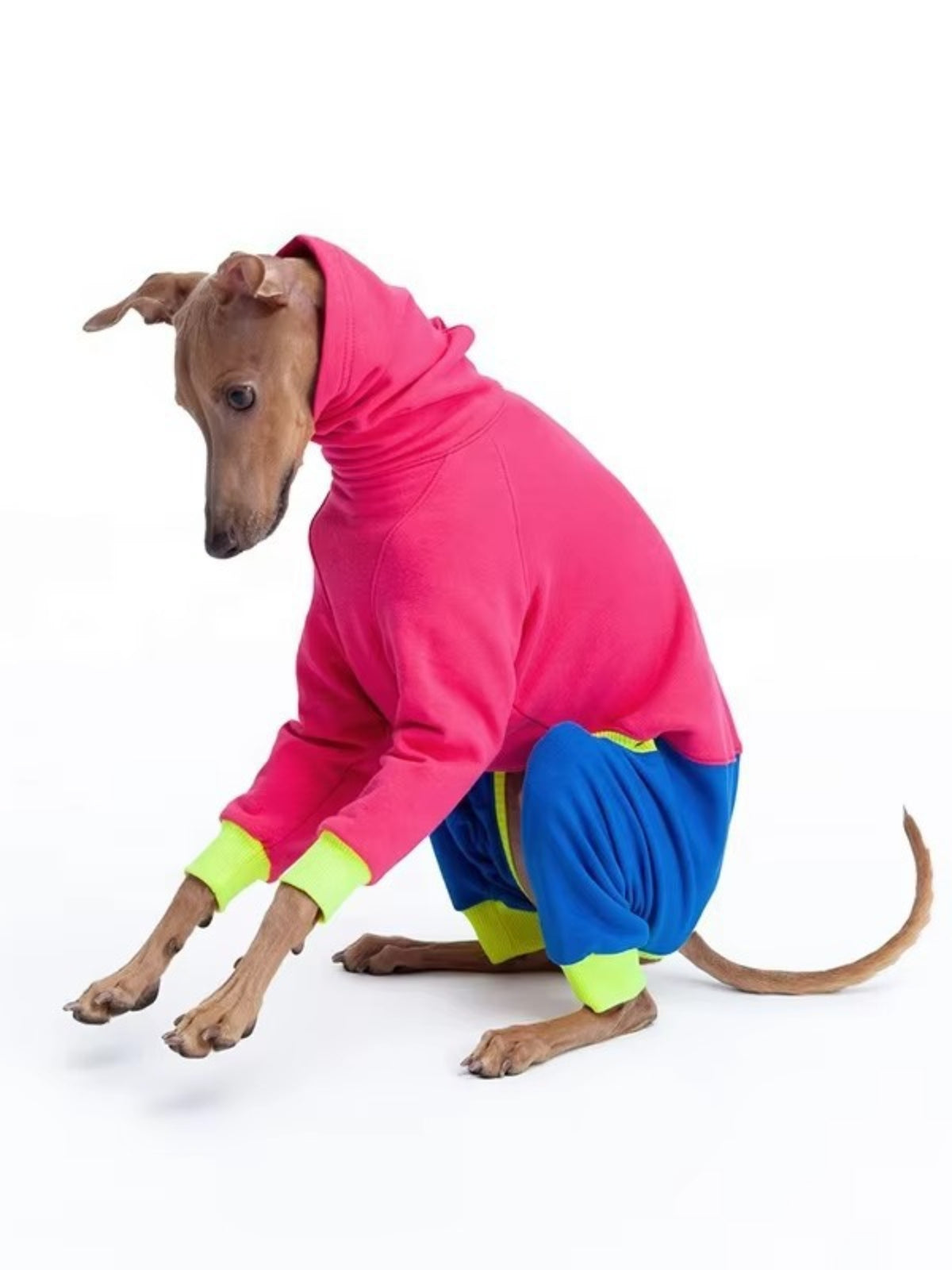 HOF Reverie Color Block Turtleneck Pet Jumpsuits — Extended Sizes