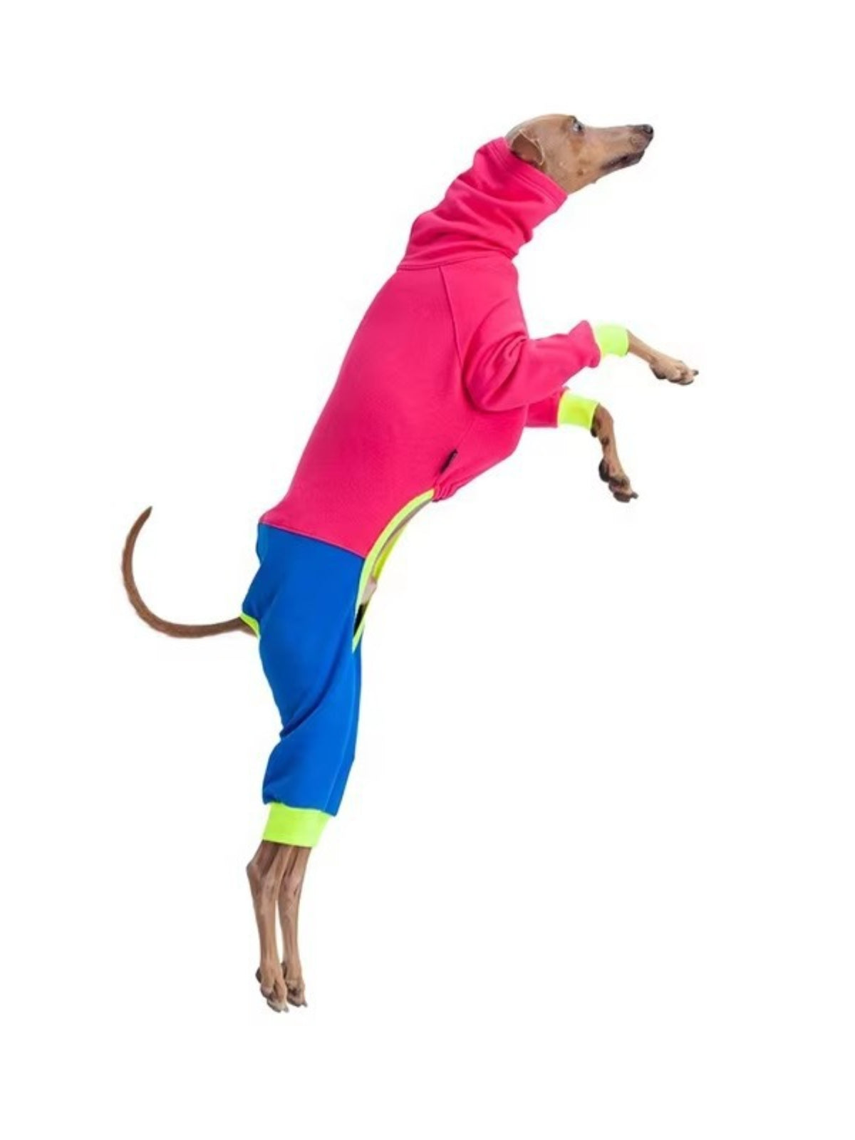 HOF Reverie Color Block Turtleneck Pet Jumpsuits — Extended Sizes