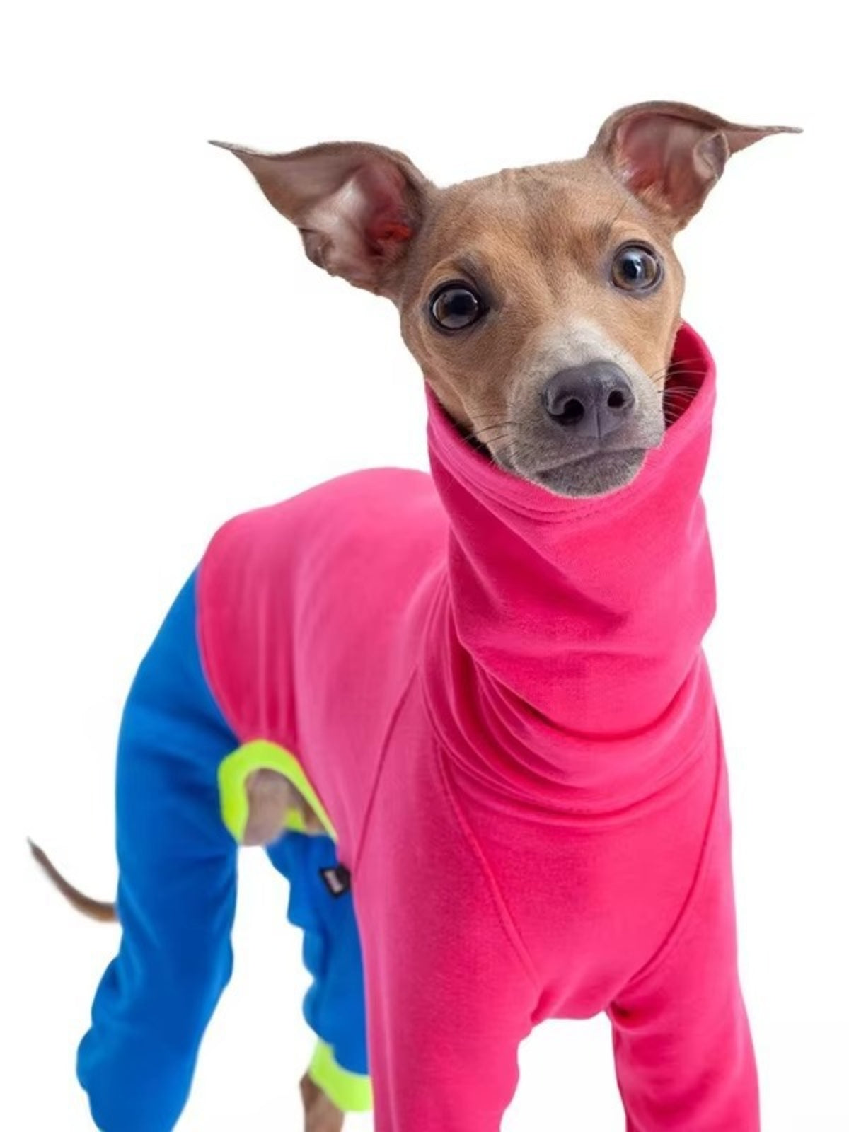 HOF Reverie Color Block Turtleneck Pet Jumpsuits — Extended Sizes