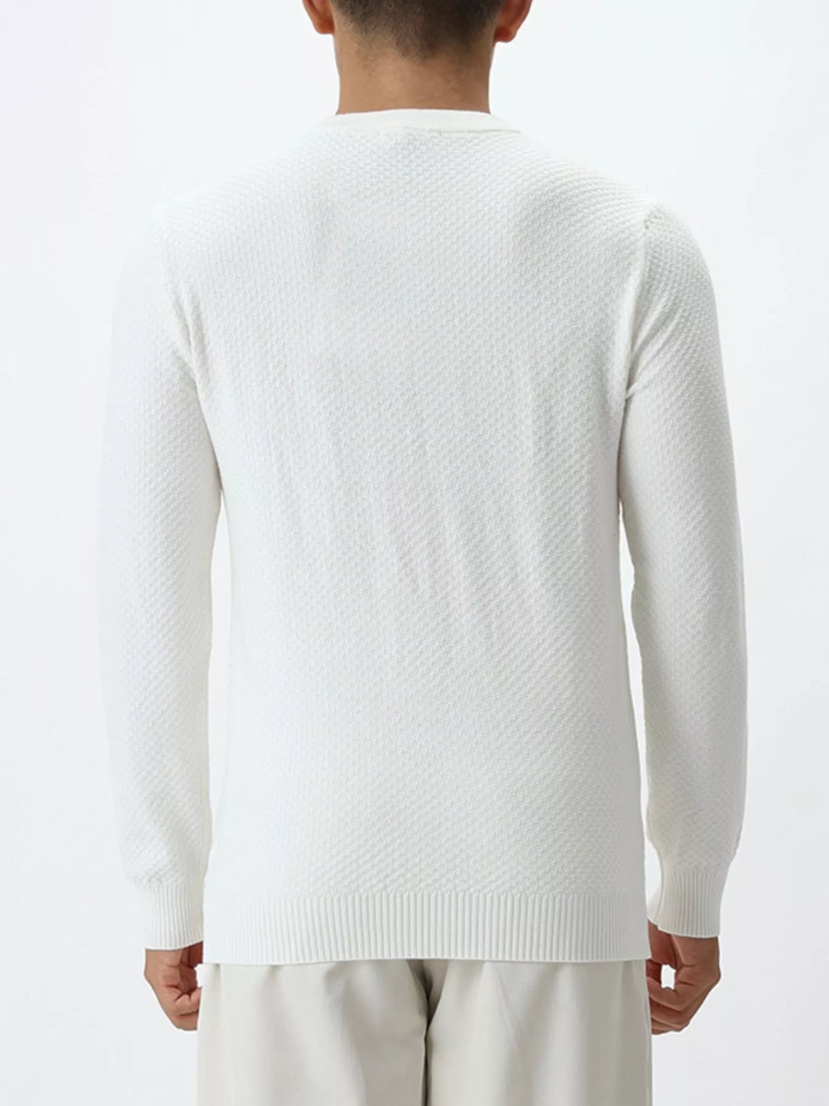 Modern Finesse Atlas Men's Textured Crew Neck Sweater — Extended Sizes