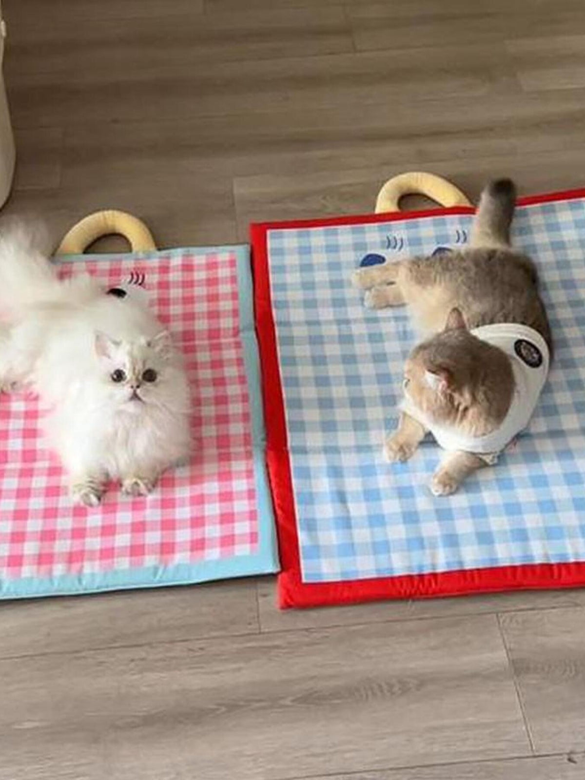 HOF Noelle Plaid Pet Mat with Handle