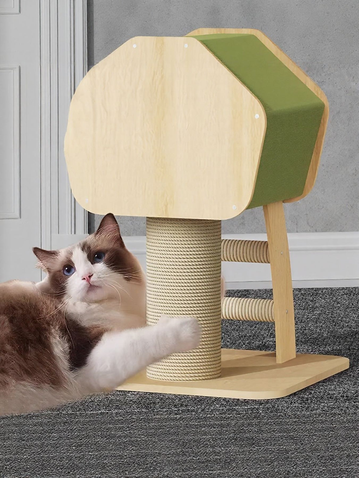 HOF Arden Modern Wooden Cat Condo with Scratching Post