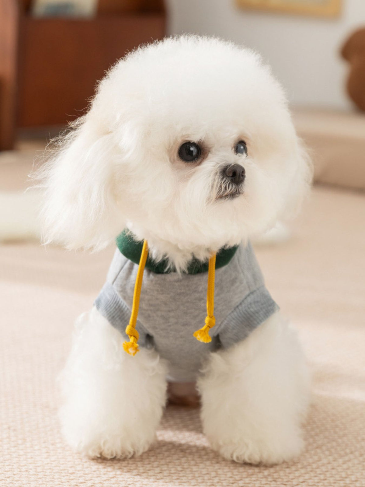 HOF Arden Cute Cartoon Pet Top