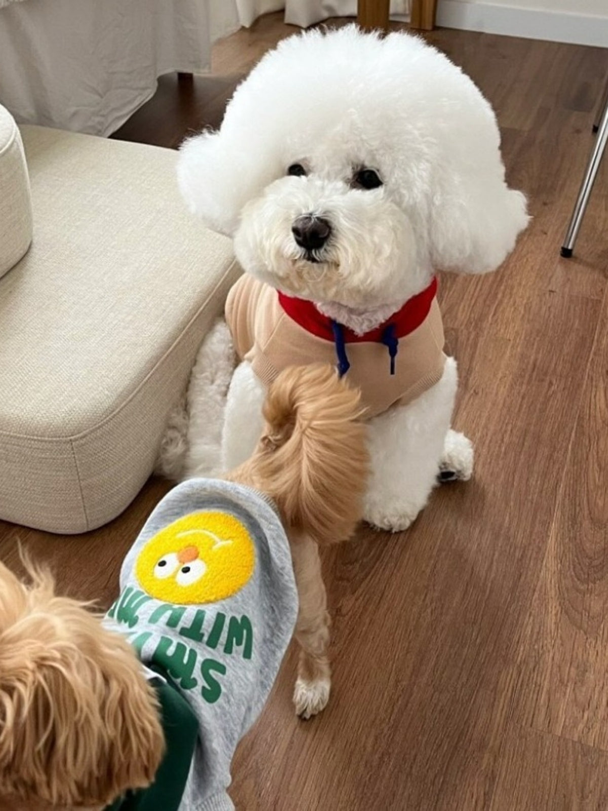HOF Arden Cute Cartoon Pet Top