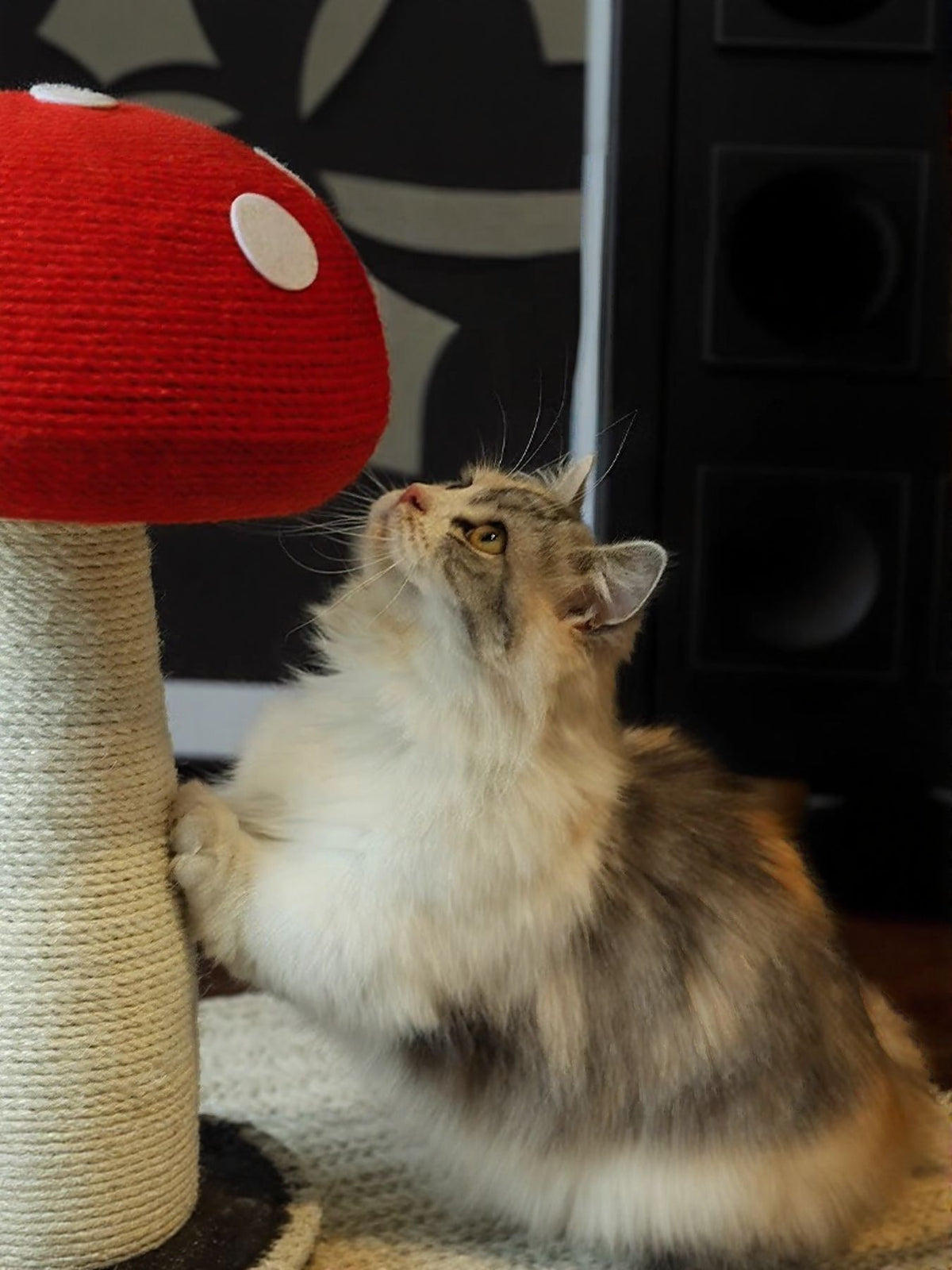 HOF Sienna Mushroom-Shaped Cat Scratching Post