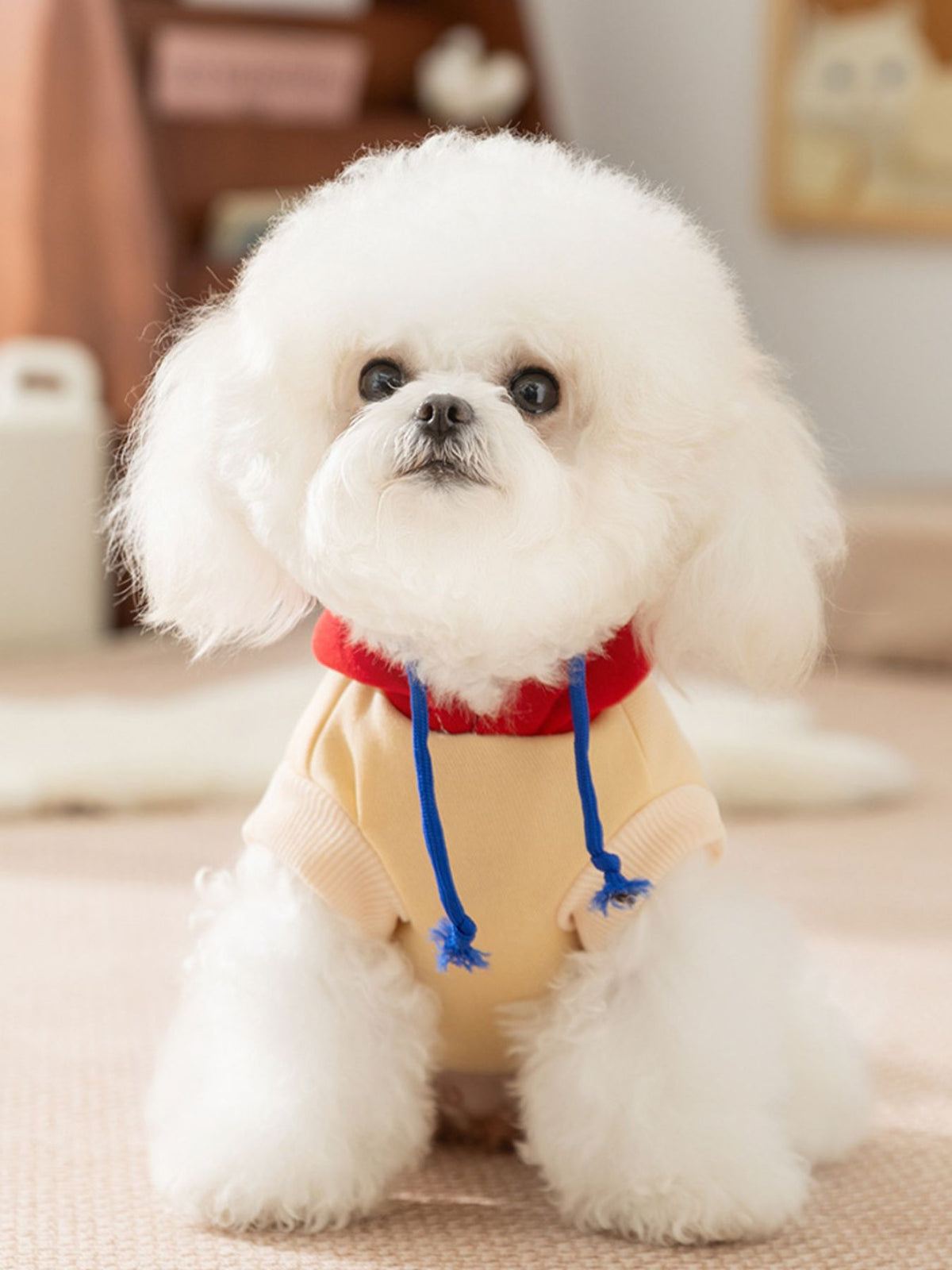 HOF Arden Cute Cartoon Pet Top
