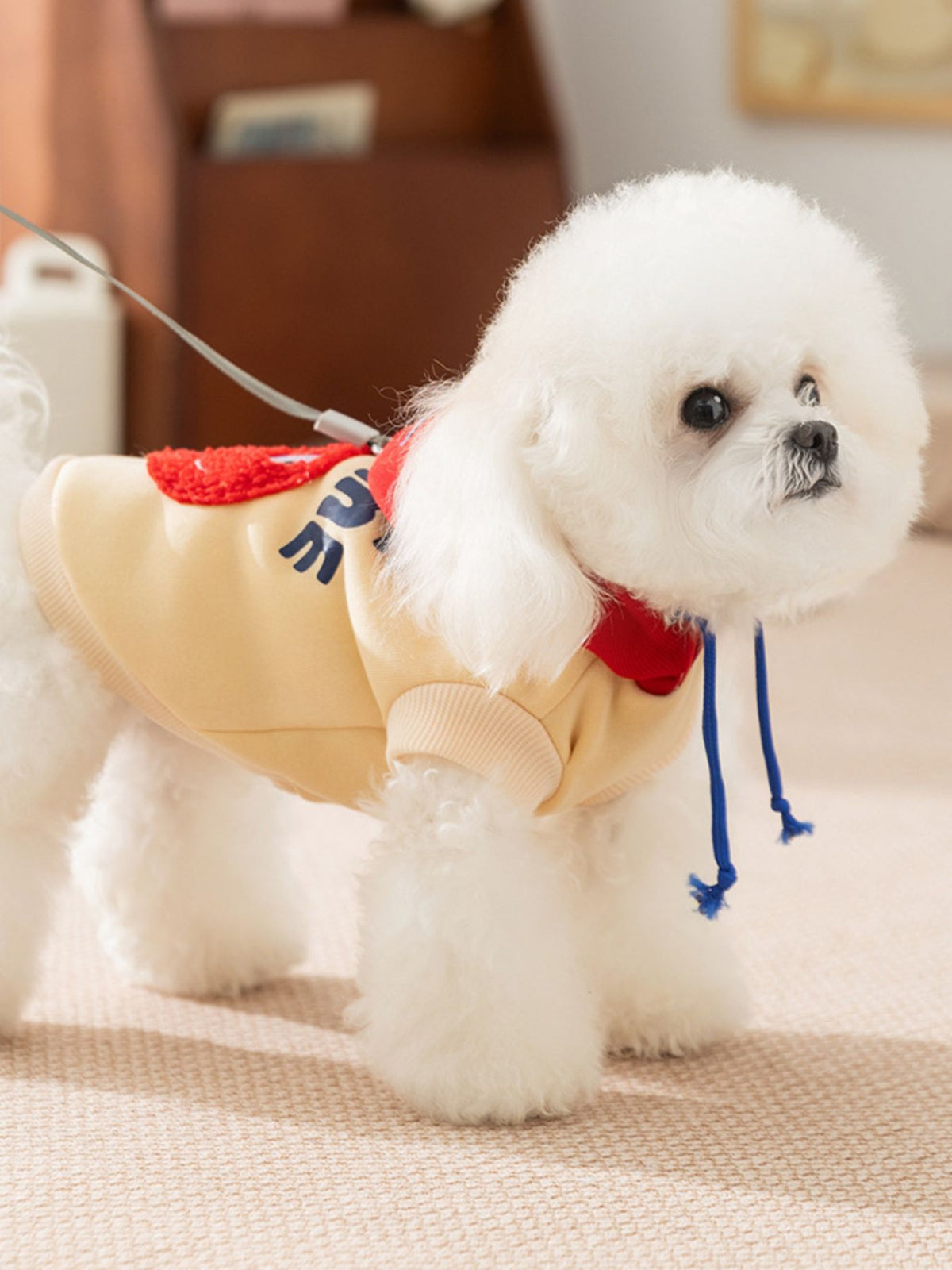 HOF Arden Cute Cartoon Pet Top