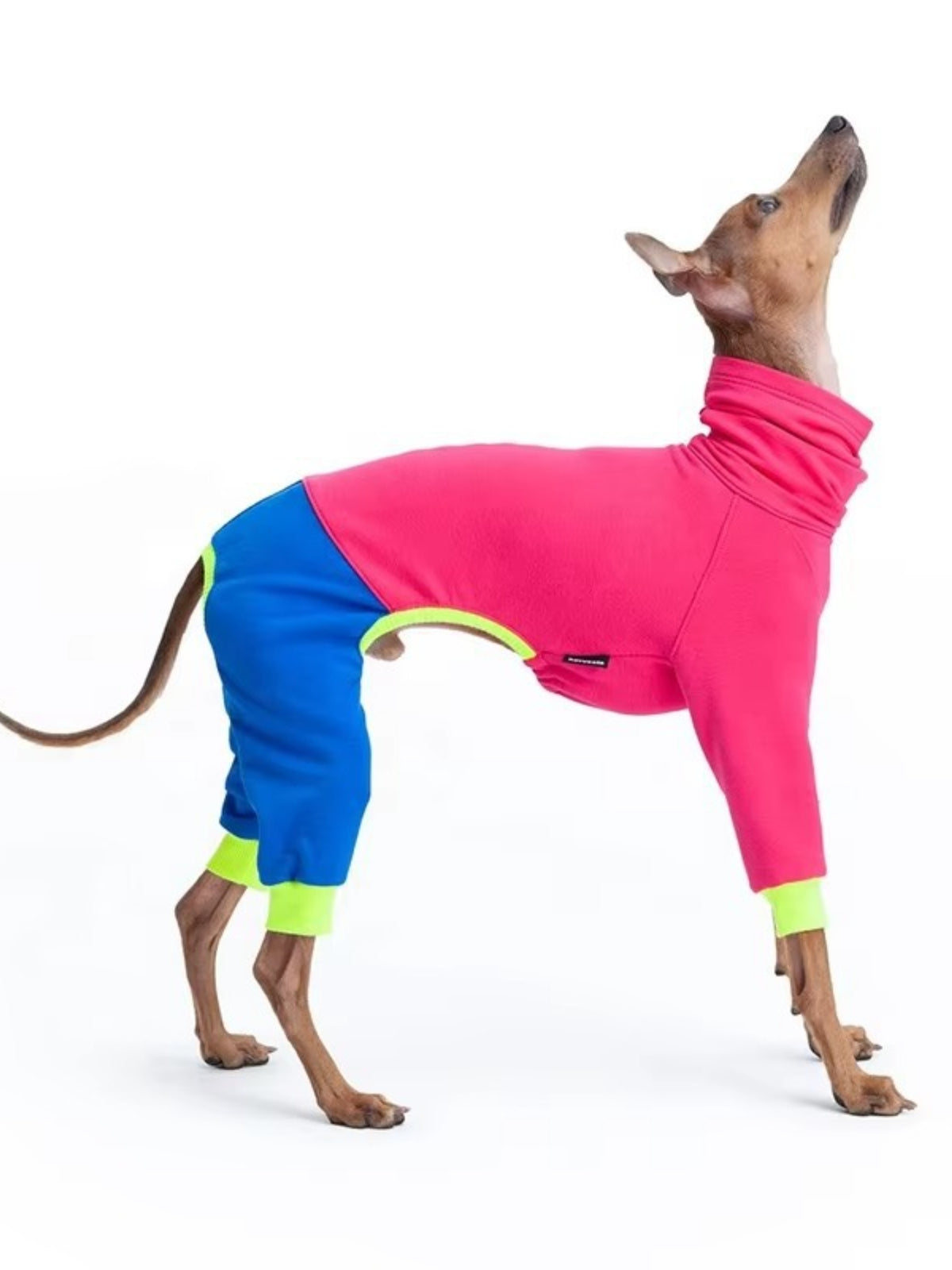 HOF Reverie Color Block Turtleneck Pet Jumpsuits — Extended Sizes