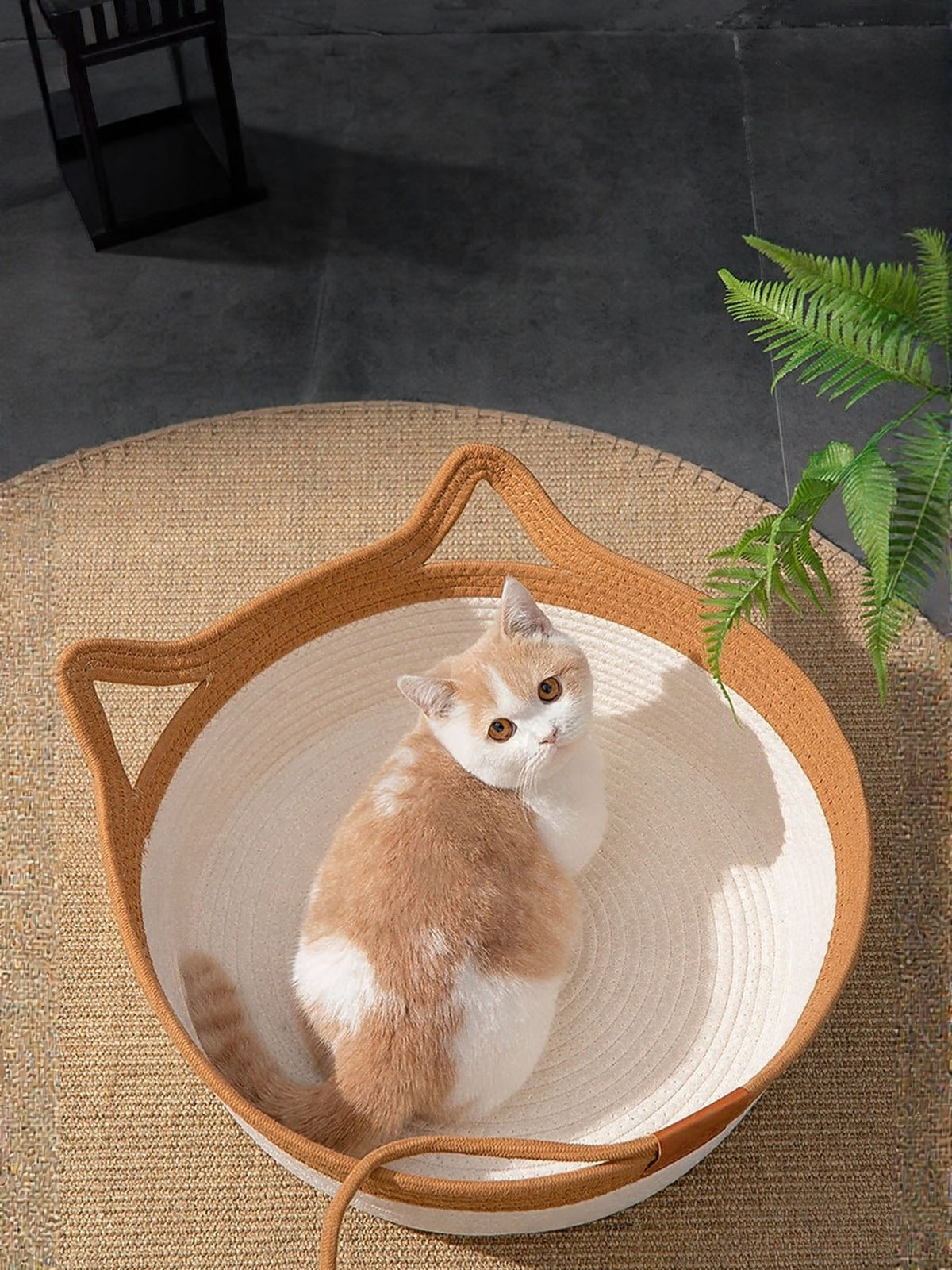 HOF Celine Cat Ear Woven Pet Nest