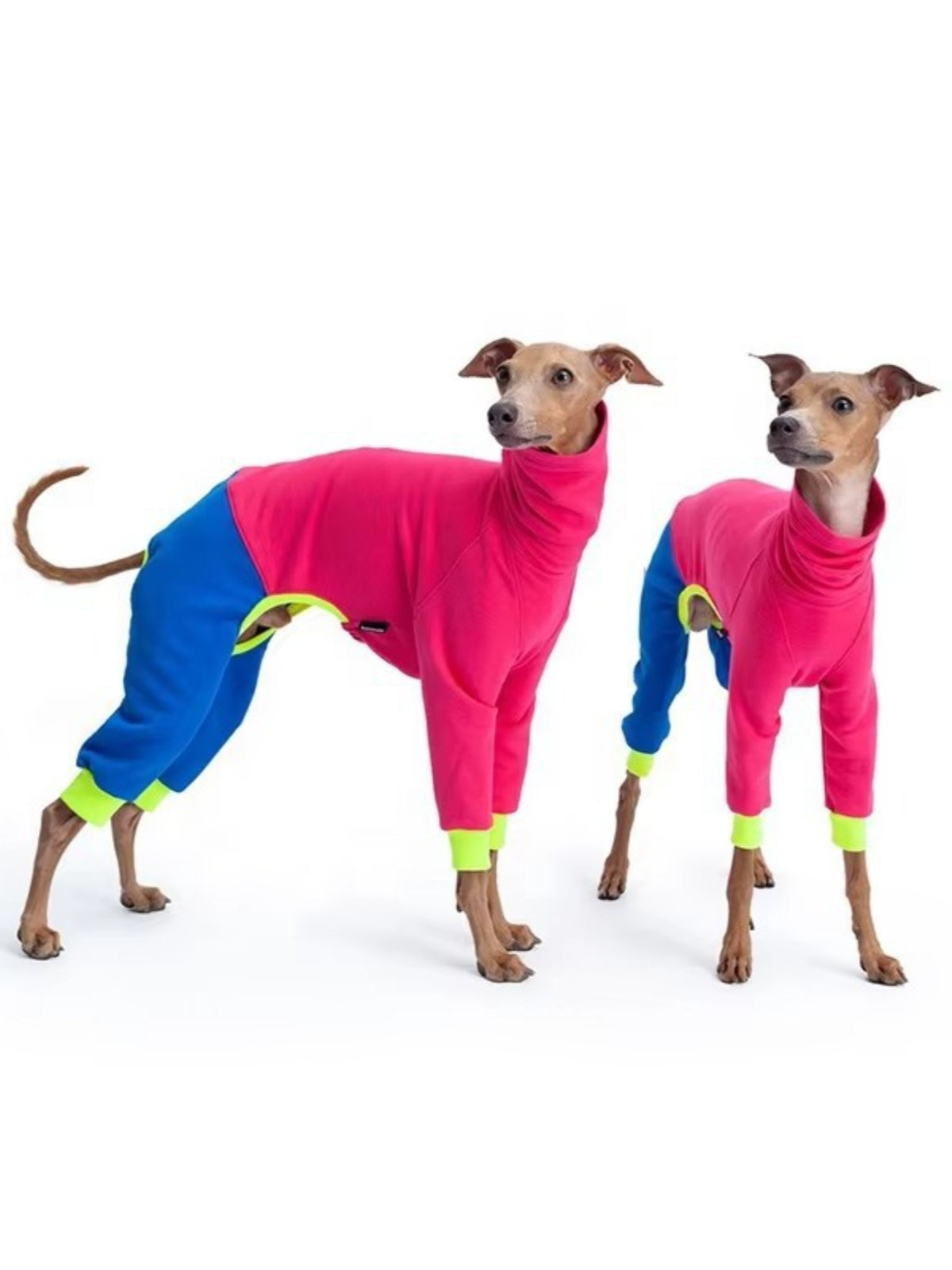 HOF Reverie Color Block Turtleneck Pet Jumpsuits — Extended Sizes